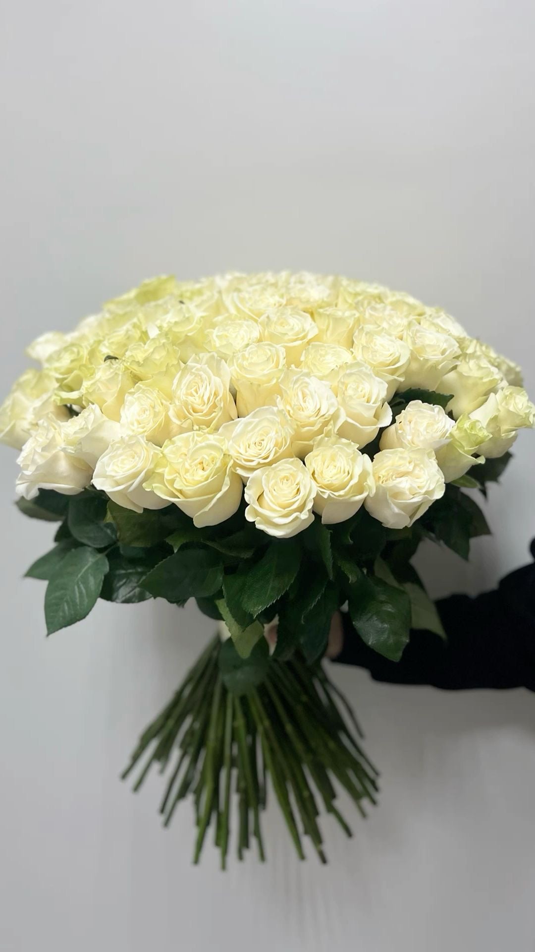 101 біла троянда 60см