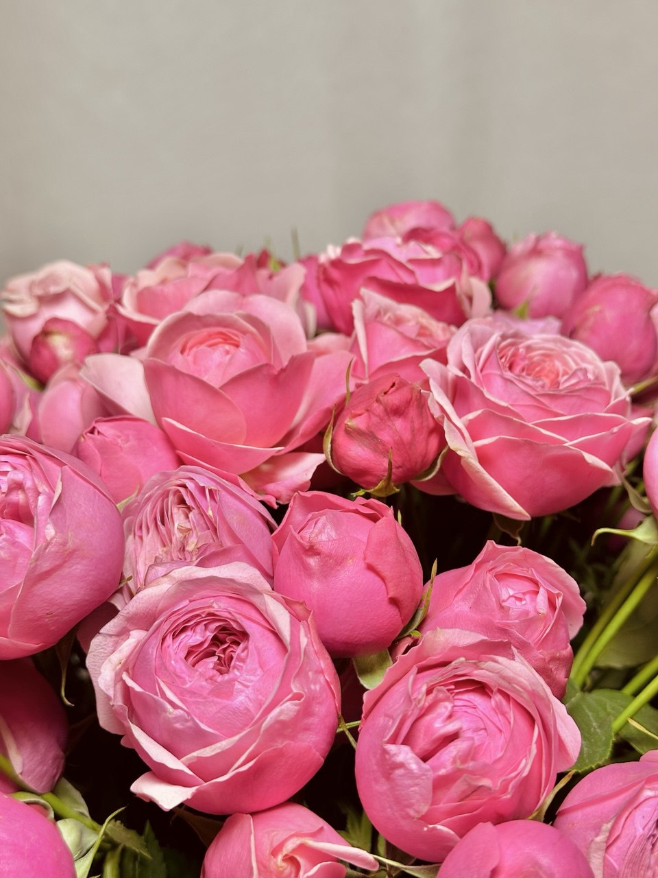 Коробка троянд кущових